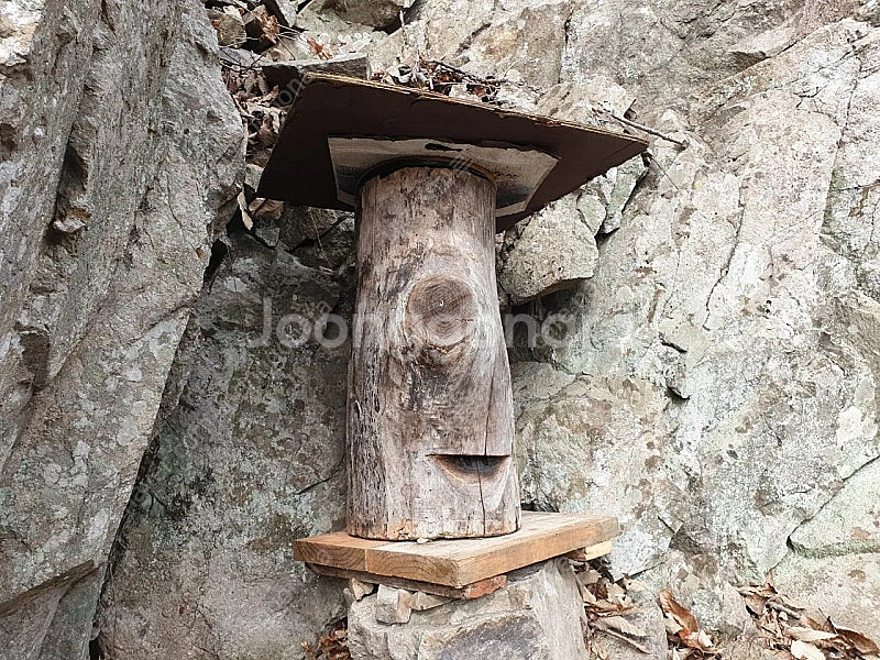 25년 토종벌 분양합니다--1