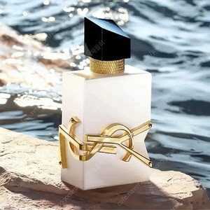 입생로랑 리브르 로 뉘 50ml