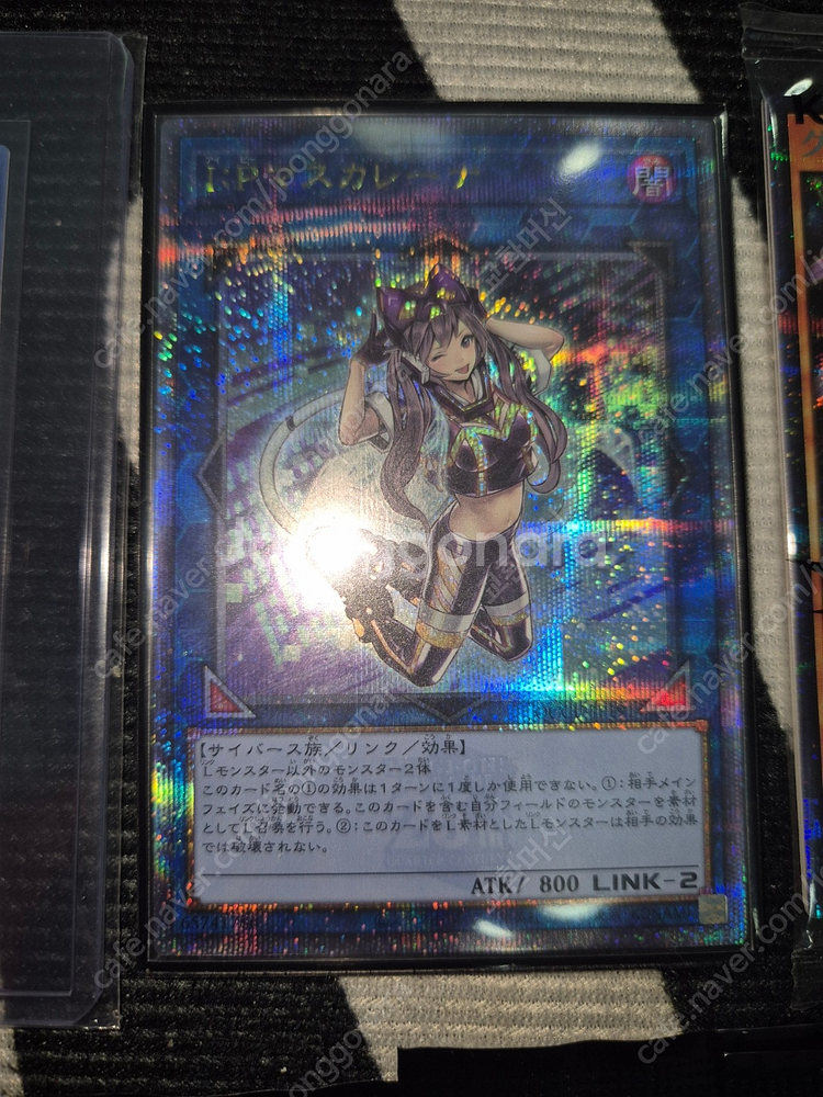 8/11 업데이트 : 유희왕카드 푸른눈의백룡 푸백 궁푸 섬도희 토큰 붉은눈의흑룡 레드데몬즈드래곤 마스카레나 삼환신 ...--2