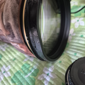 니콘 대포렌즈 600mm ed ii (600 ed2) +니콘 1.4e ii 텔레컨버터
