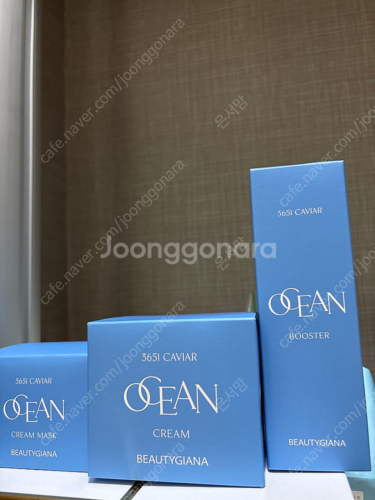 뷰티지아나 오션--0