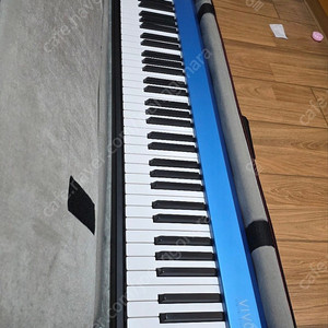 dexibell vivo s1 포터블신디 판매합니다.