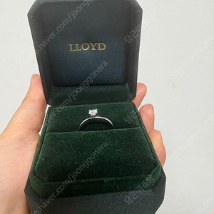 로이드 다이아몬드 반지 0.3캐럿 14k
