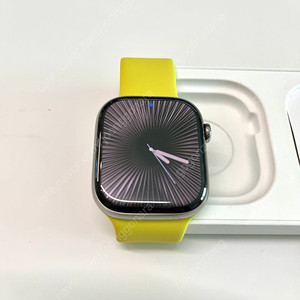 애플워치 10 내추럴티타늄 46mm / 솔로루프 스타프루트 5사이즈