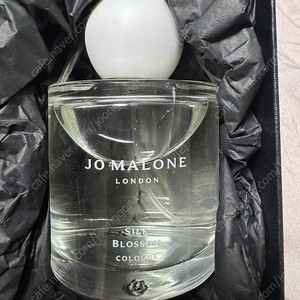 조말론 실크 블라썸 코롱 리미티드 100ml 새제품