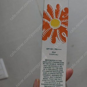브루케시아 브리즈핏 톤업 선 베이스 45ml