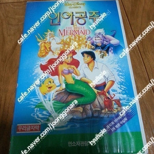 판매) 디즈니애니자막본비디오테입5매일괄21만-인어공주,미녀와야수.알라딘(매우중고틱),백설공주,환티지아초판
