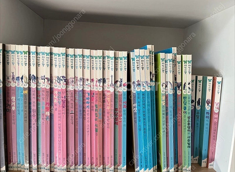 아람 자연이랑 전집--0