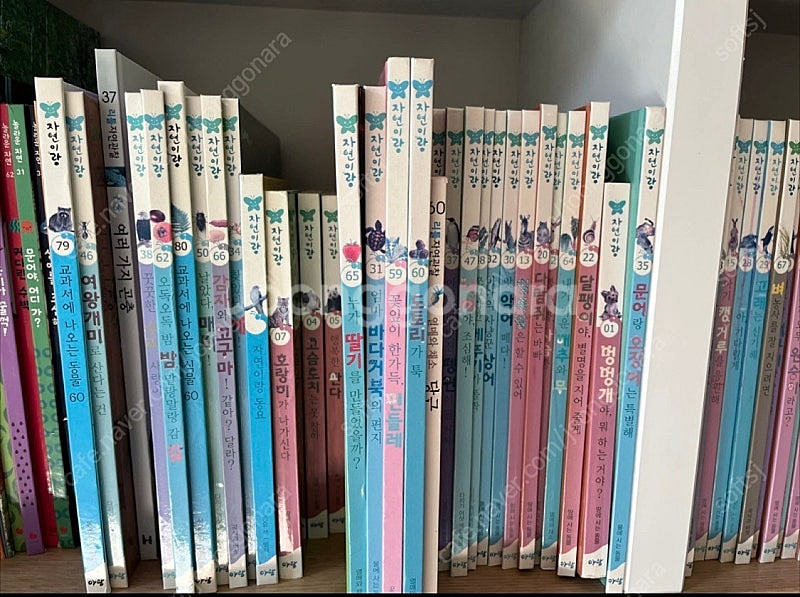 아람 자연이랑 전집--1