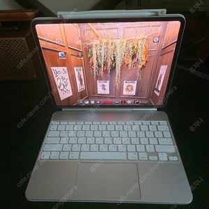 아이패드 프로 M4 13인치 2tb 스탠다드글라스 실버, 매직키보드,애플펜슬 판매합니다.