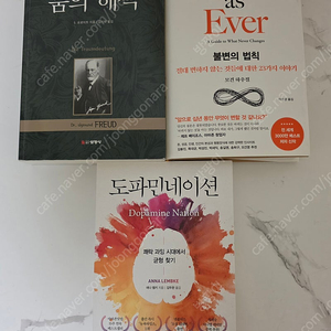 베스트셀러 책 꿈의해석,불변의법칙,도파민네이션 [거의 새책]