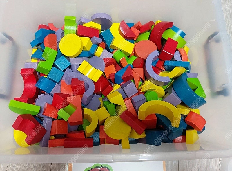 정토이즈 가베 제시카드 포함 창의교구--1