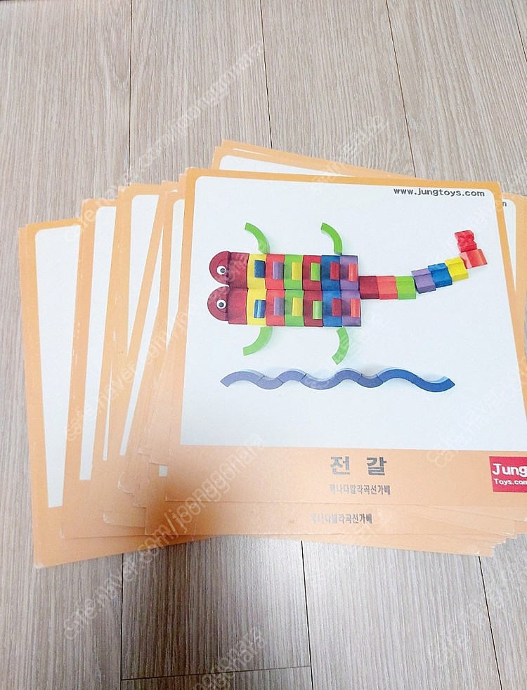 정토이즈 가베 제시카드 포함 창의교구--3