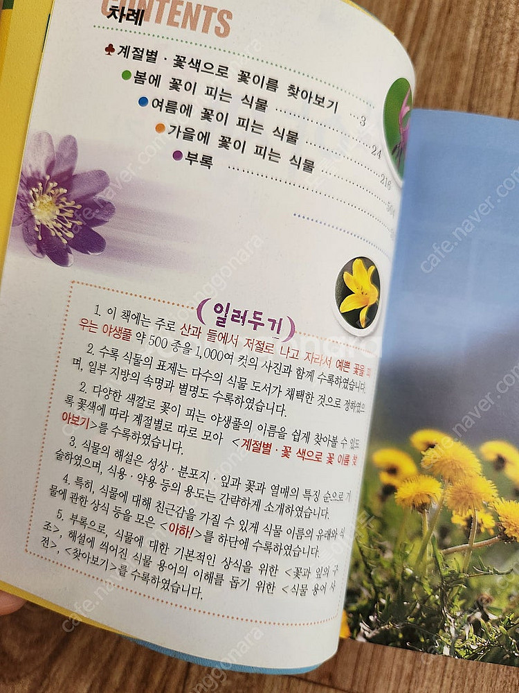 아하포켓 야생화도감, 김완규저자 (택포), 야생화책, ...--3