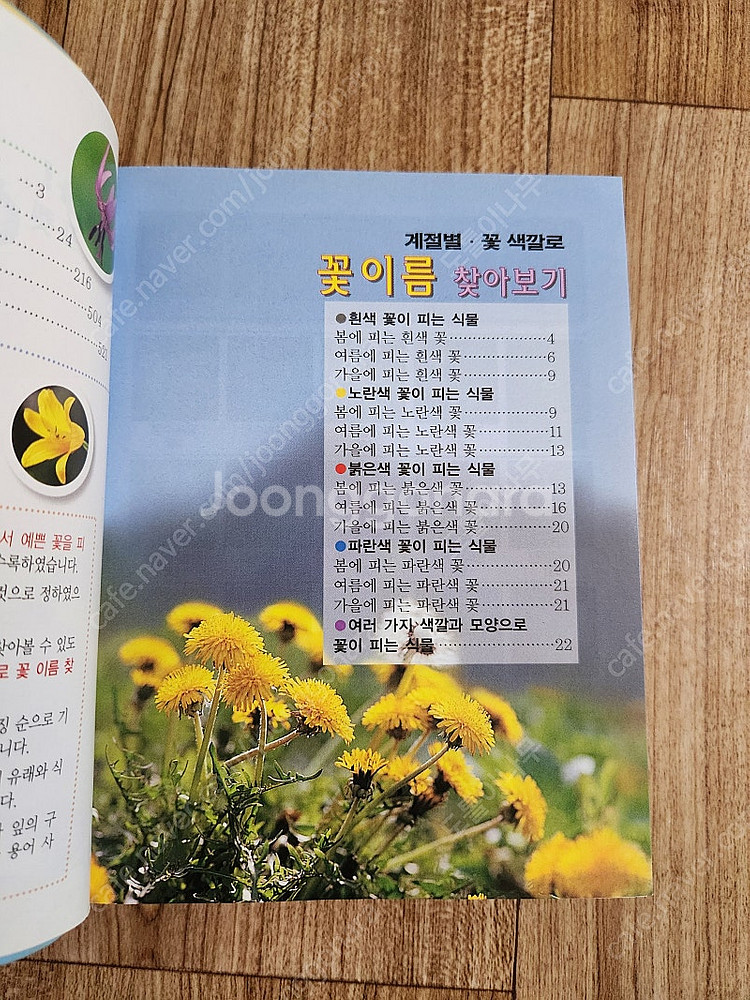 아하포켓 야생화도감, 김완규저자 (택포), 야생화책, ...--4