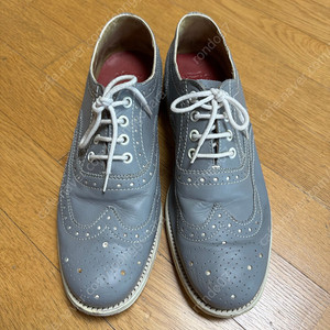 Grenson 그렌슨 / 그레이 윙팁 / UK 8½ (EU 42 ⅔ cm)