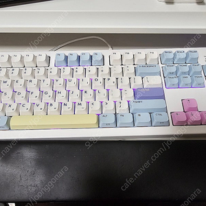 TFG Cloud CF 3모드 듀얼 가스켓 저소음 사무용 기계식키보드 코튼캔디, 브라운슈가 토독