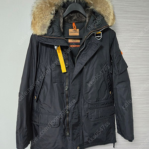 파라점퍼스xl 코디악팝니다