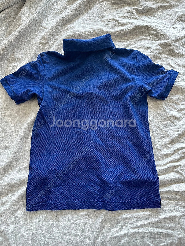 라코스테 키즈 폴로티 10사이즈 택포--1
