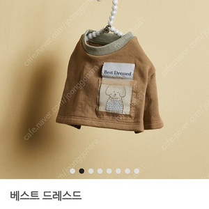 루이독 M / 수량2장