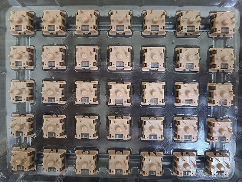 독거미 카라멜라떼축 스위치 100개 이미지