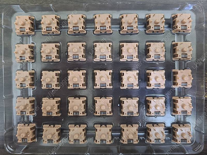 독거미 카라멜라떼축 스위치 100개 이미지