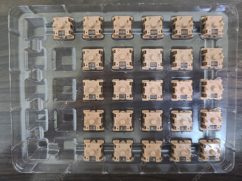 독거미 카라멜라떼축 스위치 100개 이미지