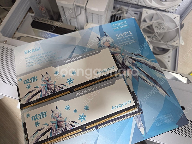 DDR5 Asgard ROG 6800Mhz 16GB *...--1