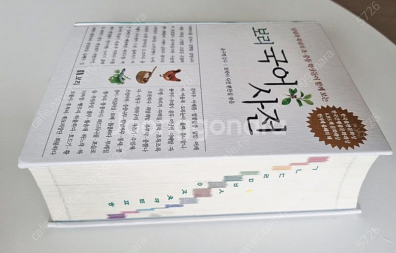 보리 국어사전--1