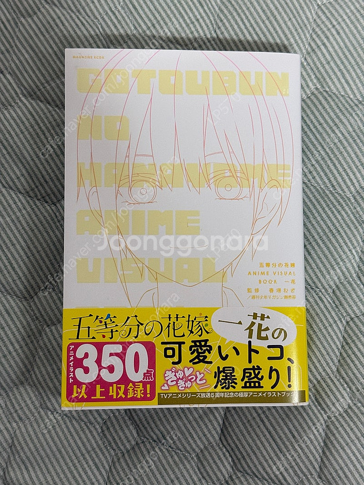 5등분의 신부 일러스트집 이치카--1