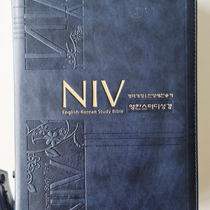 NIV 영한스터디성경 개역개정