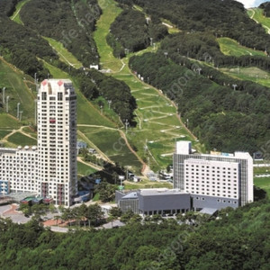 평창 휘닉스 8월18일-20일 블루캐니언 루지 상상놀이터 곤돌라 패키지