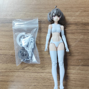 메가미디바이스 걸프라 버스터돌 소체 판매