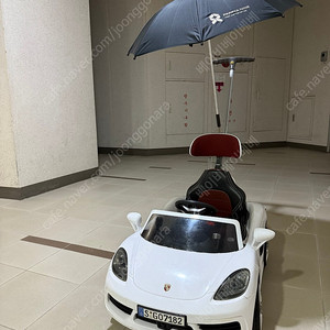 파파야나인 포르쉐푸쉬카