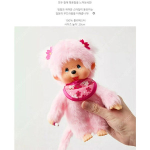 사쿠라 벚꽃 몬치치