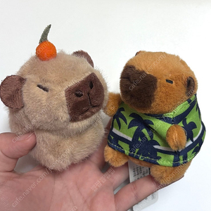 카피바라 키링 인형️
