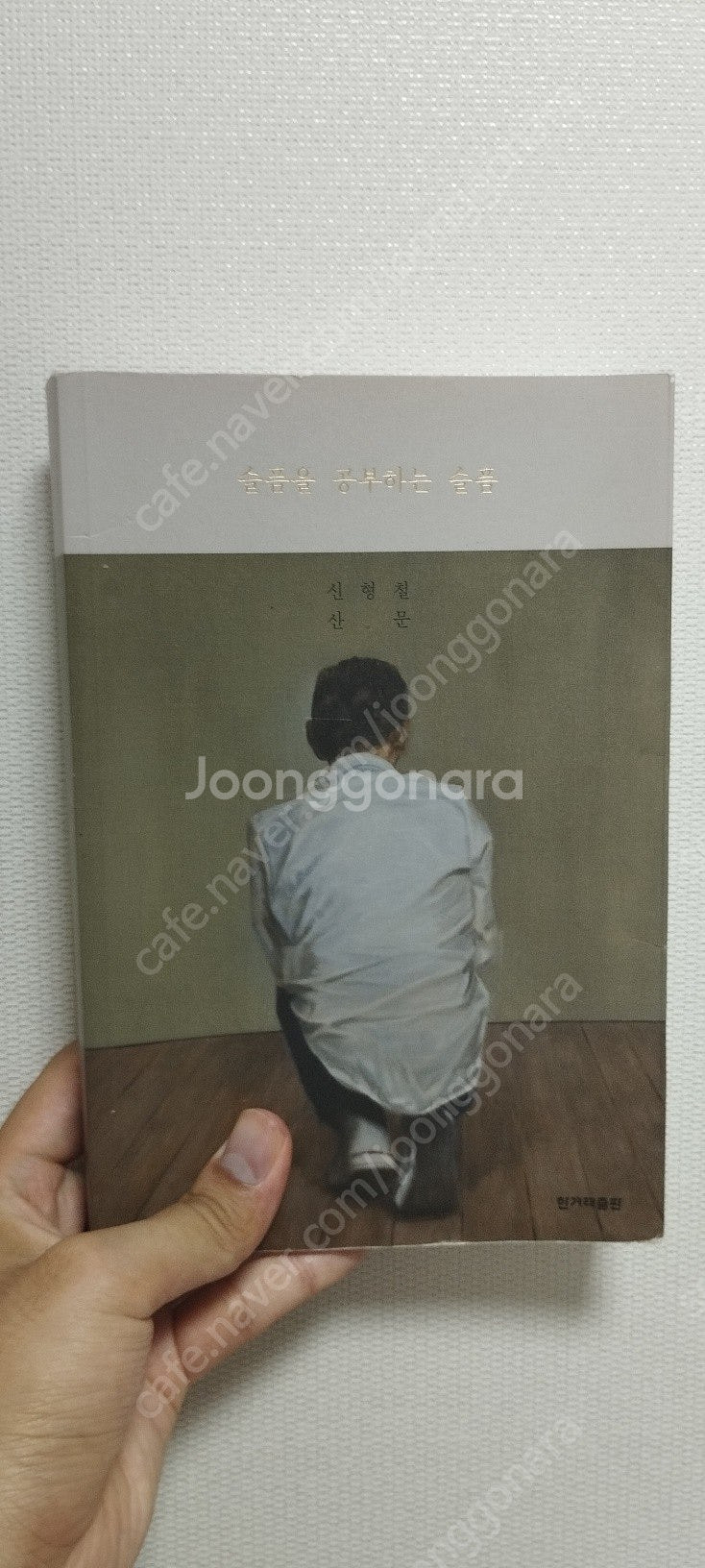 인생의 역사 / 슬픔을 공부하는 슬픔 / 신형철--0