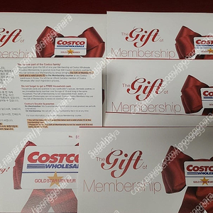 코스트코 골드스타 기프트 멤버쉽