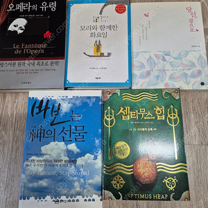모리와함께한 화요일,셉티무스의힙,오페라의유령등 소설책다수, 소방공무원기본서,기출문제집,컴퓨터활용능력1급,산업안전기사등