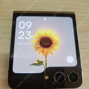 갤럭시 플립5 512 민트색상