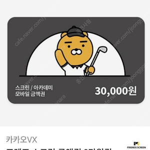 카카오VX 프렌즈 스크린 금액권 3만원권
