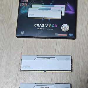 KLEVV CRAS V RGB DDR5 6000 CL30 32GB (16GBx2) 화이트