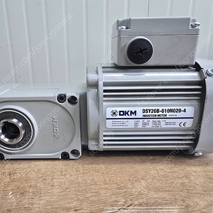 DKM감속모터 (감속기일체형) DSY20B-010N020-4