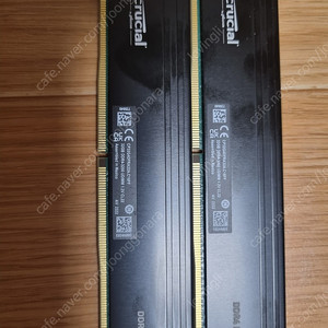 Crucial Pro 64GB Kit (32기가x2) DDR4-3200 데스크탑 램 메모리