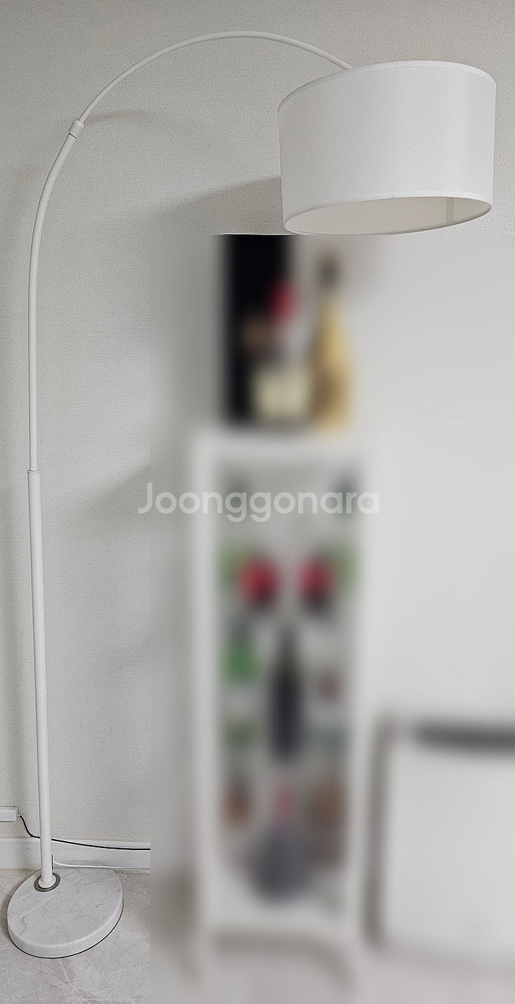 [스피아노] 거실 조명 활 장스탠드 + [헤이홈] 스마...--0