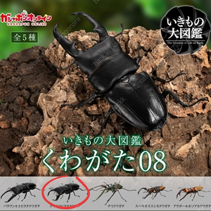 반다이 생물대도감 부케팔루스