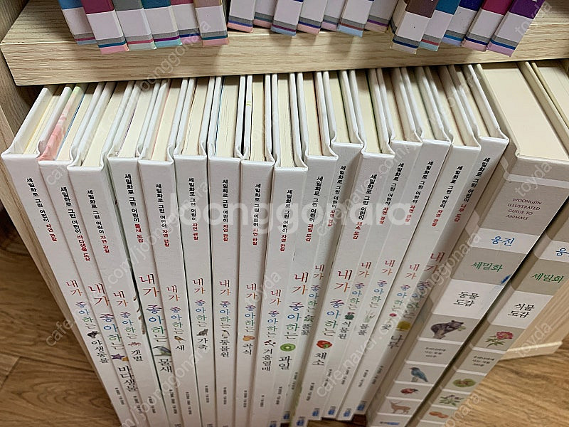 내가 좋아하는 시리즈 자연관찰 세밀화(18권)웅진주니어--1