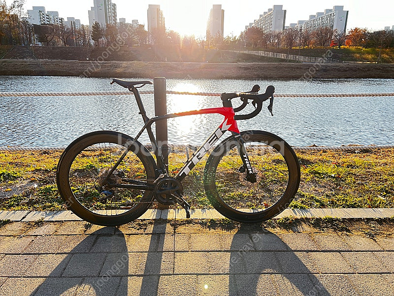 트렉 에몬다 sl6 56+보라wto60--3