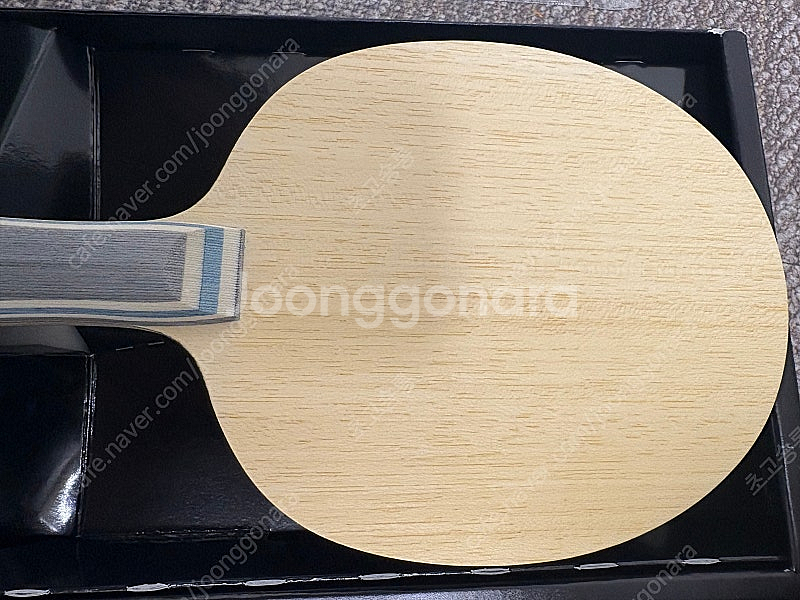 비스카리아--2