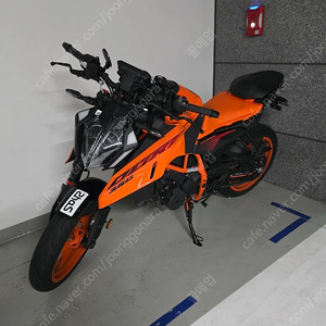 ktm 듀크390 신차급